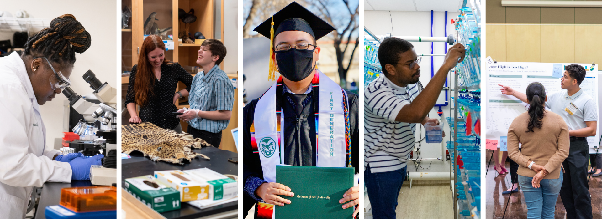 Banner of images of diverse students