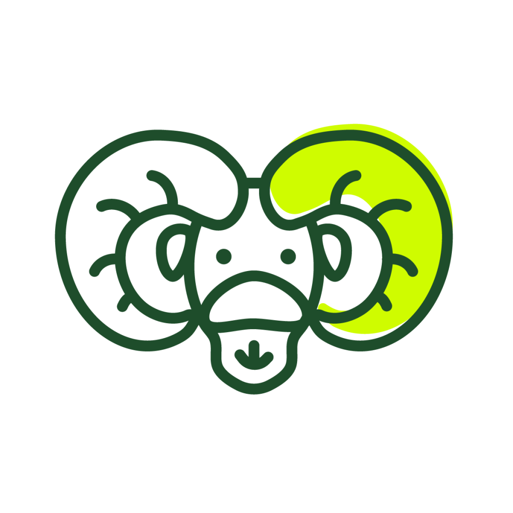 Drawing of a ram head.