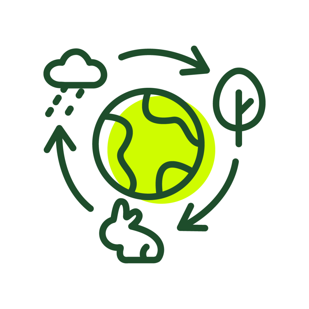 Drawing of earth surrounded by smaller images of a tree, a rabbit, and a rain cloud connected by arrows.